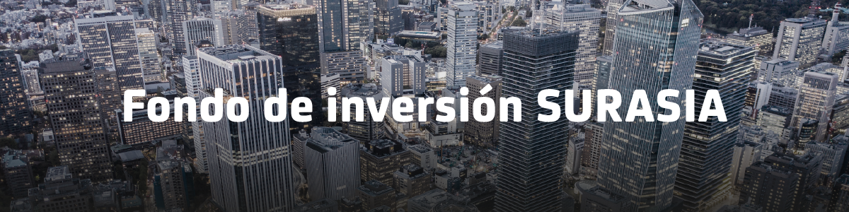 Fondo SURASIA Renta Variable
